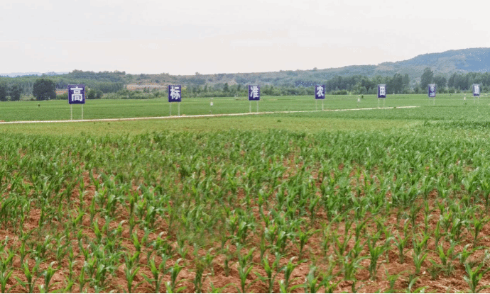 ɽ����Ͷ�������Ž����±���߱�׼ũ��