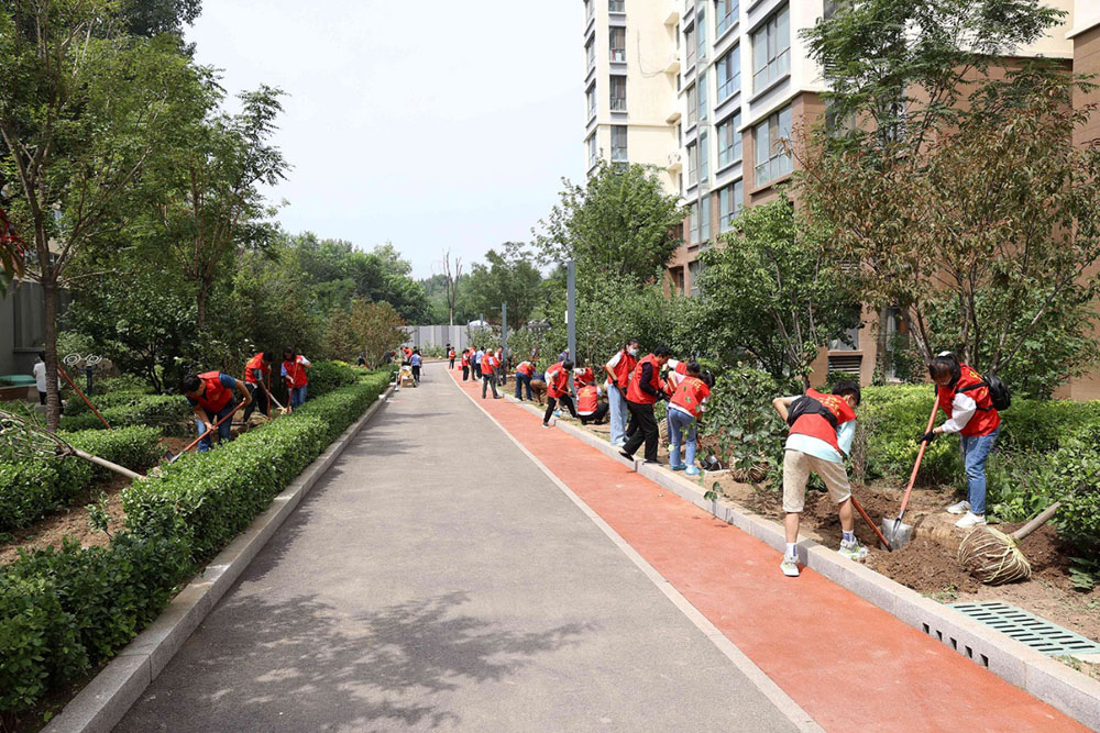 ɽ����Ͷ�Ľ����ž���2021��ְ����Ů�����������ֲ���˶�