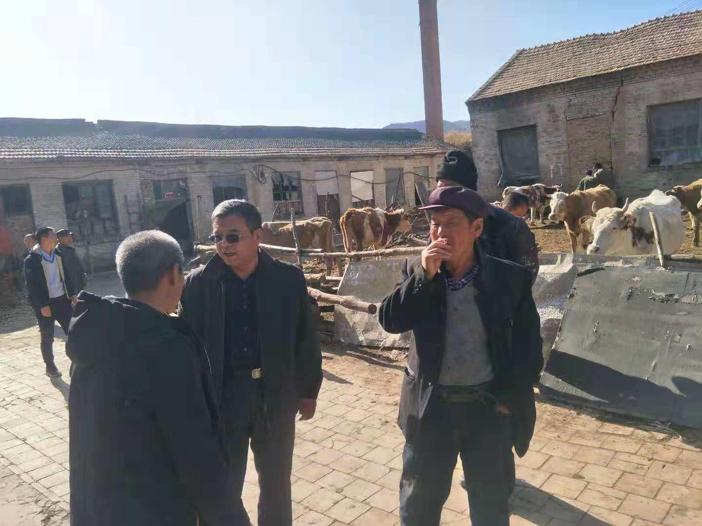 �±���(�й���)���޹�˾ - ����