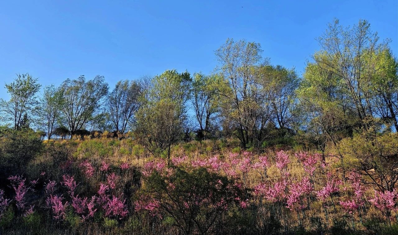 �±���(�й���)���޹�˾ - ����